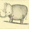 Elephant (charcoal on paper)