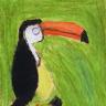 Toucan (Acrylic on canvas)