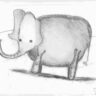 Elephant (charcoal on paper)