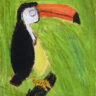 Toucan (Acrylic on canvas)