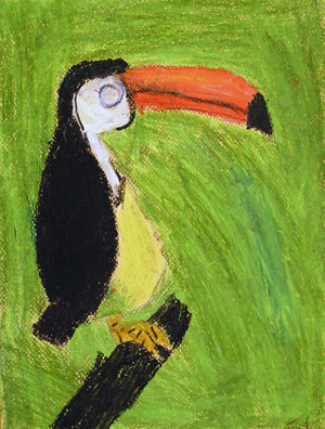 Toucan (Acrylic on canvas)